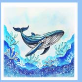 Humpback whale