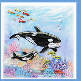 killer whale