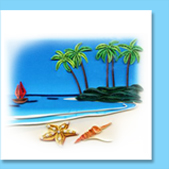 beach and palm tree