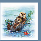 seaotter