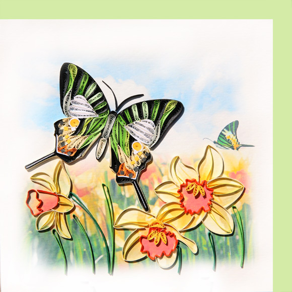 butterfly