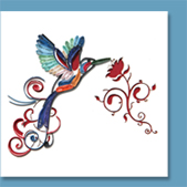 humming bird