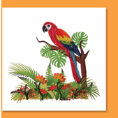 parrot