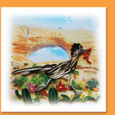 roadrunner