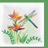 dragon fly