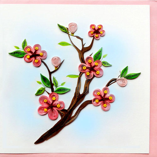 cherry blossom
