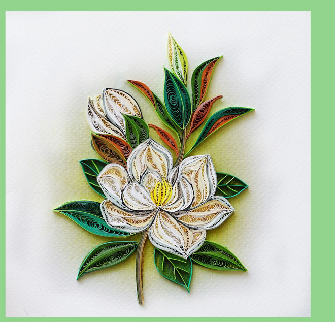 magnolia