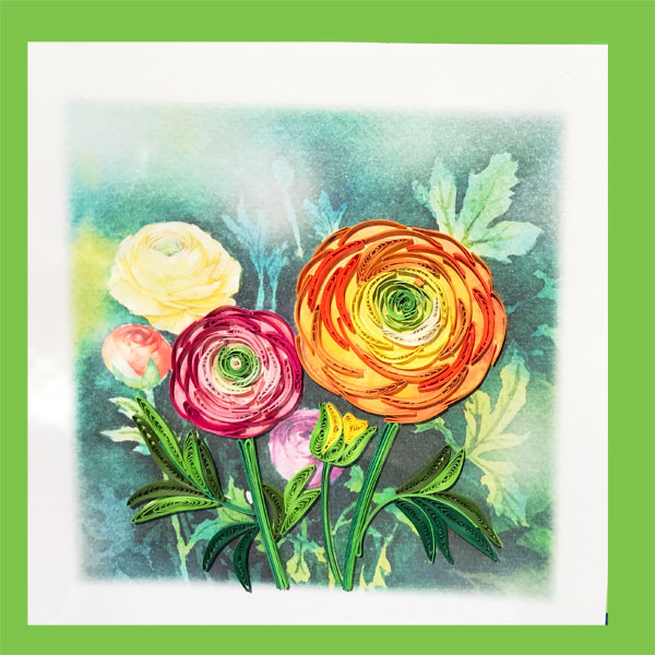 Ranbunculus