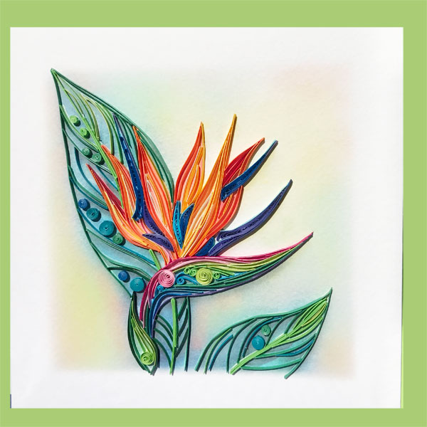 bird of paradise