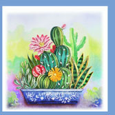 cactus