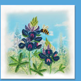 bluebnet