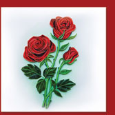 red rose